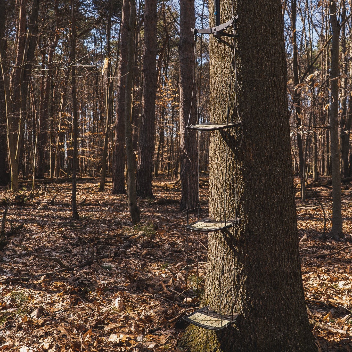 MAXX™ STEP Triple Climbing Stick Aider - Hunt Arsenal - Climbing Systems